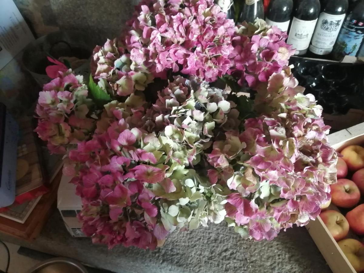 Gite Hydrangea Lanhelin Екстер'єр фото